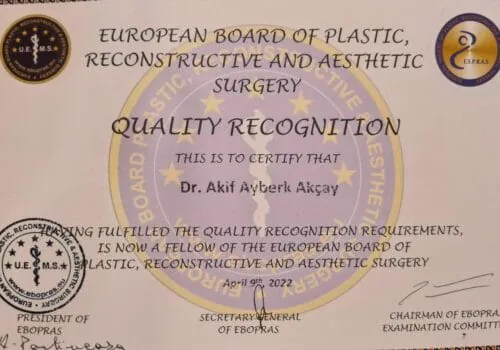 EBOPRAS — European Board of Plastic, Reconstructive and Aesthetic Surgery kurul belgesi